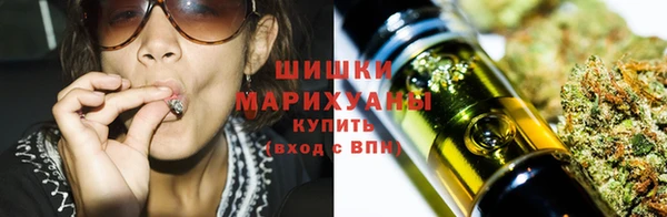 ПСИЛОЦИБИНОВЫЕ ГРИБЫ Инсар