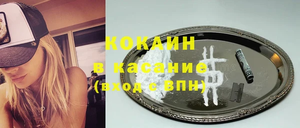 ПСИЛОЦИБИНОВЫЕ ГРИБЫ Инсар